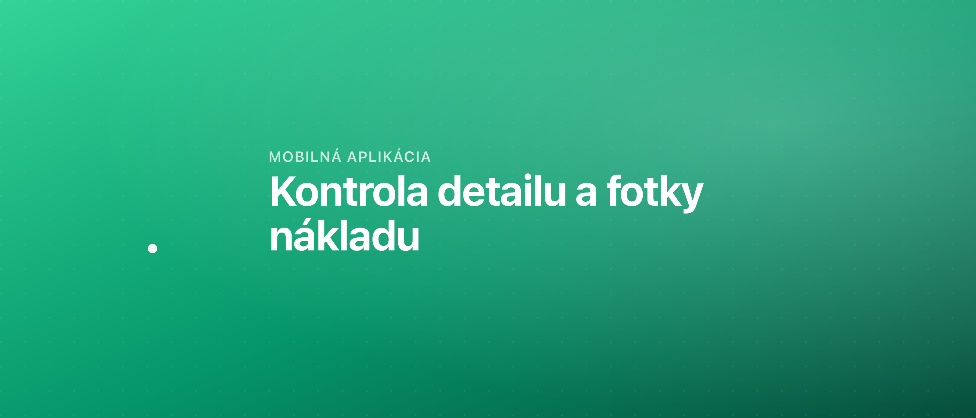 Kontrola detailu a fotky nákladu