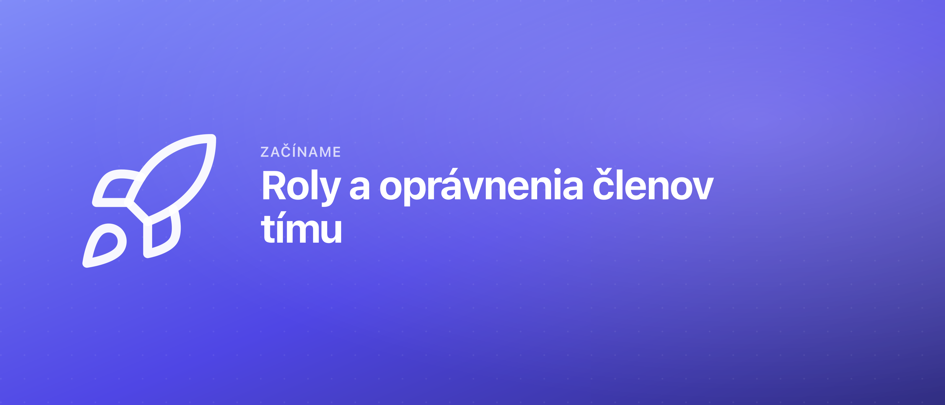 Roly a oprávnenia členov tímu